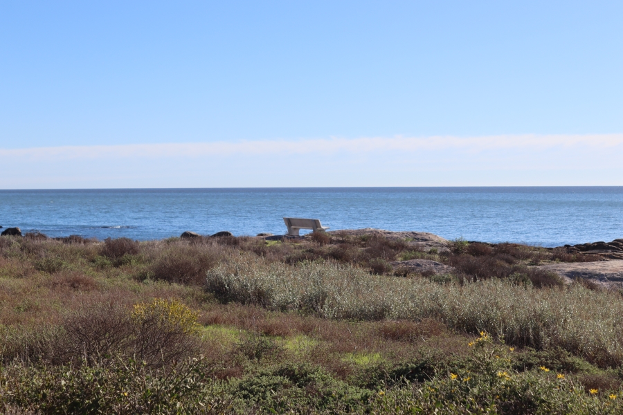 0 Bedroom Property for Sale in St Helena Views Western Cape